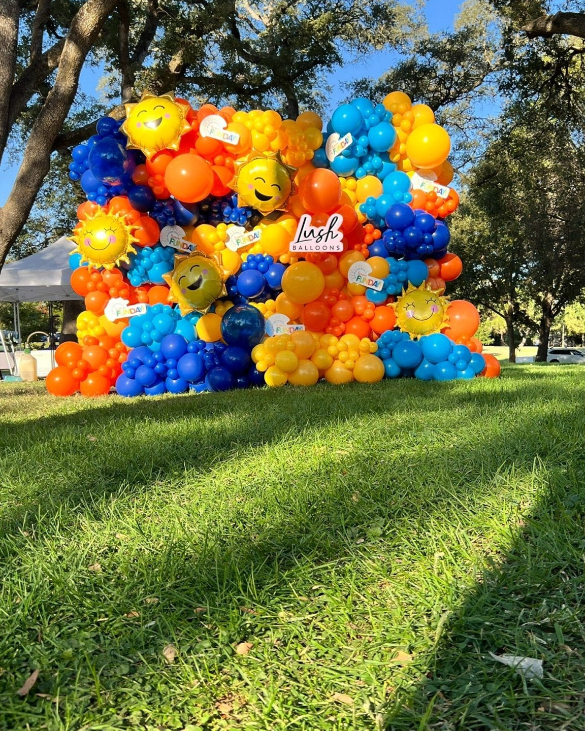 Balloon Walls Lush Balloons balloon-walls-lush-balloons