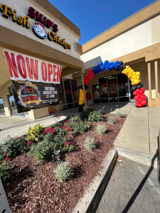 Basic Organic Balloon Arch Rental - Lush Balloons