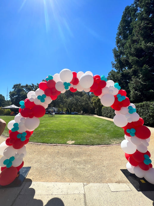 Basic Organic Balloon Arch Rental - Lush Balloons
